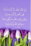 1783668870946.png