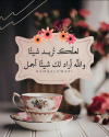 1785913958696.png