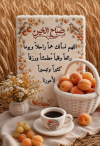1790654231498.png