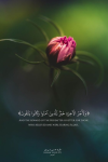 1790934501748.png
