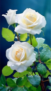 1791026621880.png