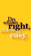 1778164577900.png