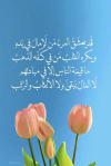 1780140098820.png