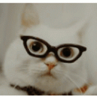 القنـآصَهْ ~