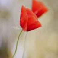 مــح ــمــد